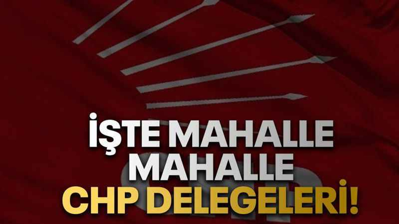 İşte mahalle mahalle CHP delegeleri!